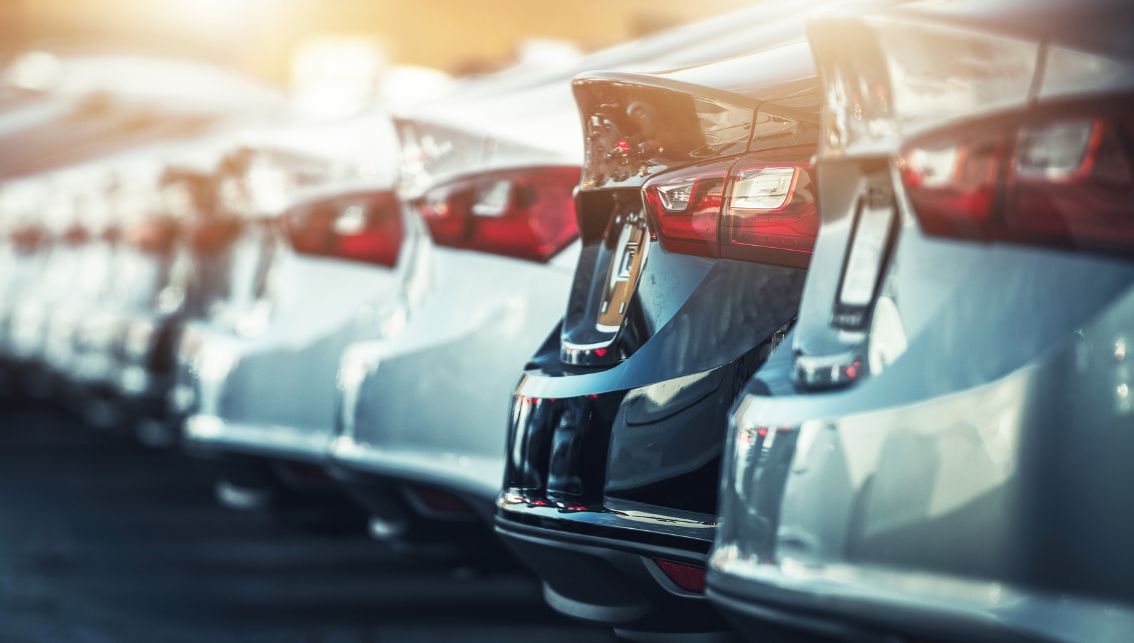 Car paint Beginner's Guide